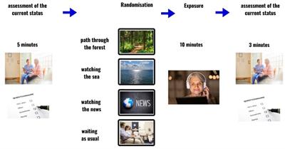 Enhancing patient well-being in oncology waiting rooms: a pilot field experiment on the emotional impact of virtual forest therapy